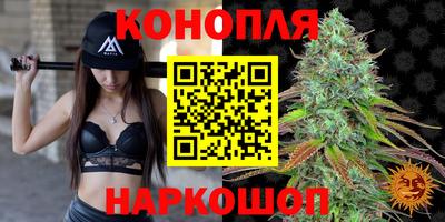 ALPHA PVP Пугачёв