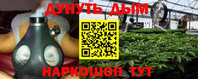 ALPHA PVP Пугачёв