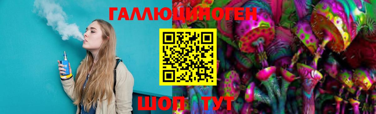 Сальск  как найти   Вход с VPN  Псилоцибиновые грибы Cubensis 